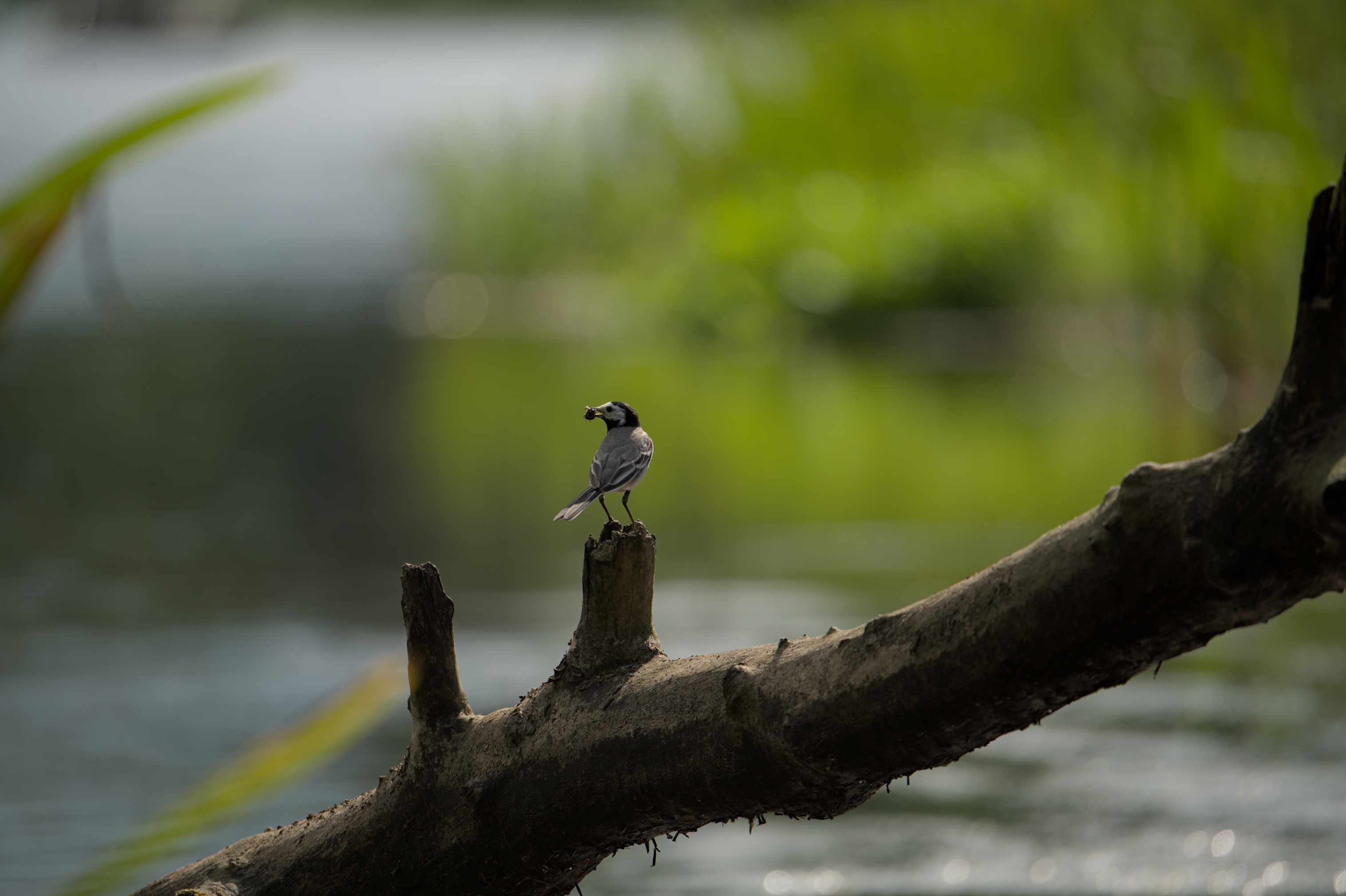 2025/07/09-14 - trip/export/DSC_0336.jpg